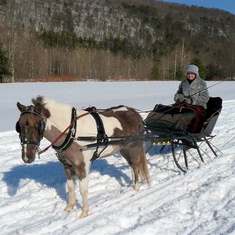 Pony sleigh with chimes