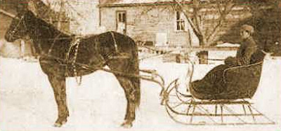 Horse wearing bells with sleigh